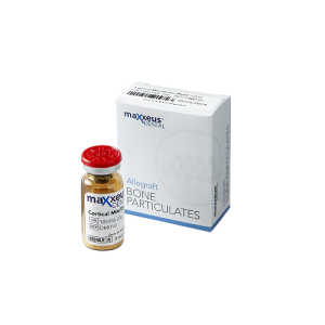 Maxxeus Allograft Cortico Cancellous